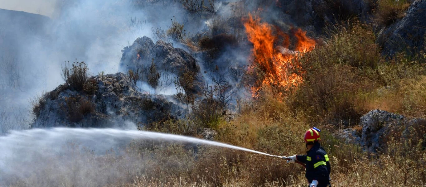 Υπό μερικό έλεγχο η μεγάλη πυρκαγιά στην Ηλεία